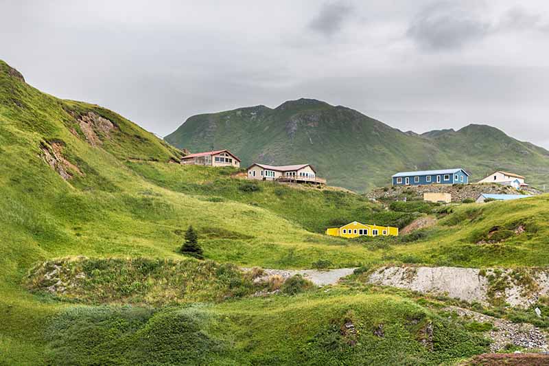 Five homes on the hillside on Alaksa's Dutch Harbor.